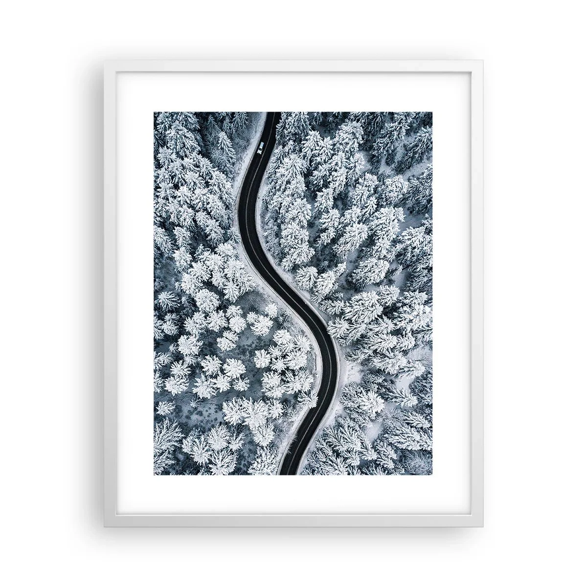Póster en marco blanco - A través de un bosque invernal - 40x50 cm