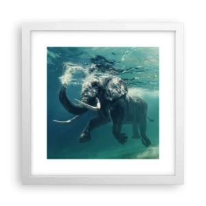 Póster en marco blanco - A todos nos gusta nadar - 30x30 cm