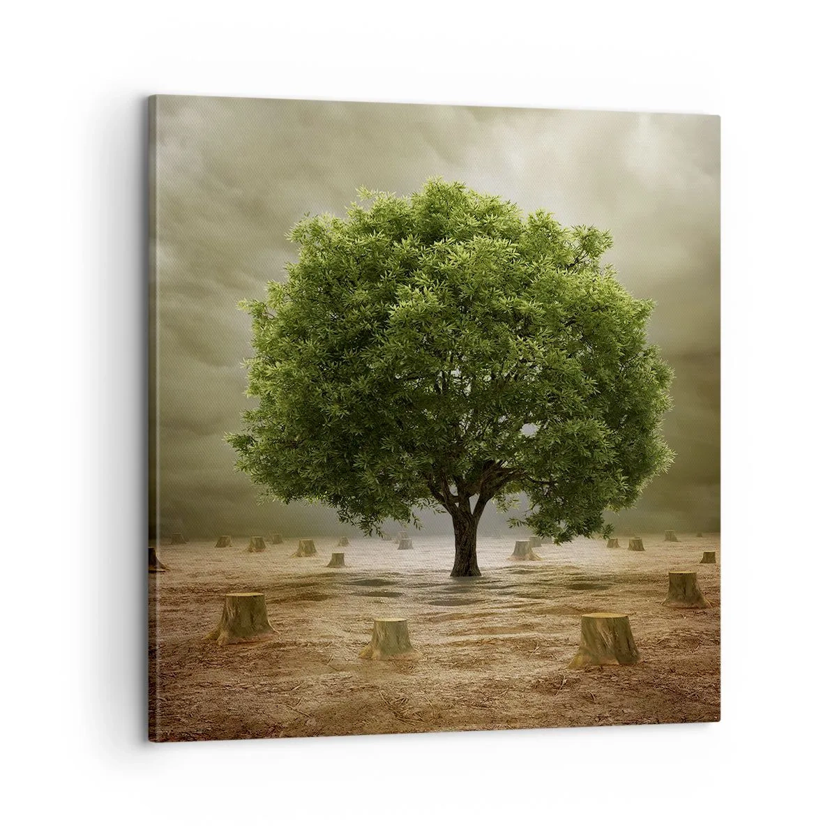 Cuadro sobre lienzo - Impresión de Imagen - La esperanza - 60x60 cm