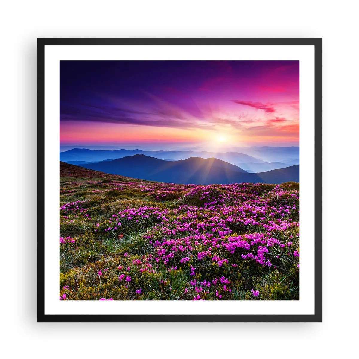 Póster en marco negro - Dulce aroma a frescura - 60x60 cm