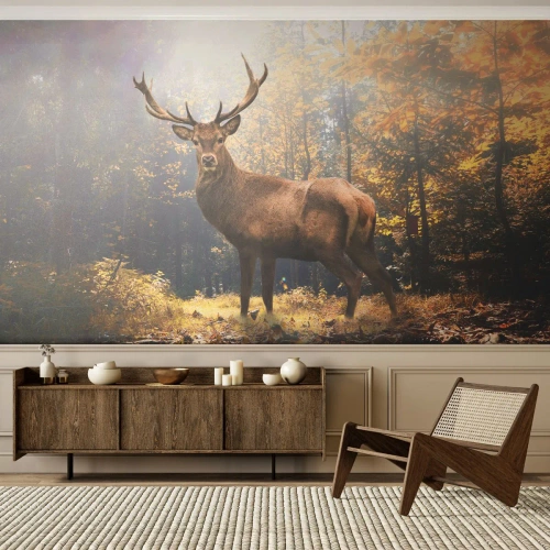 Fotomural Standard Eco - Un ciervo majestuoso en un bosque otoñal iluminado por la luz del sol. - 100x70cm - Con toda la majestuosidad - Decoración de pared moderna para salón y dormitorio ARTTOR