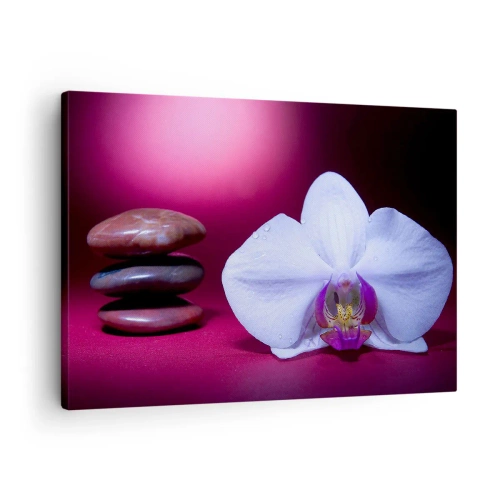 Cuadro sobre lienzo - Impresión de Imagen - Orquídea blanca y piedras sobre fondo rosa. - 70x50cm - Estudio de frescura en violeta - Decoración de pared moderna para salón y dormitorio ARTTOR