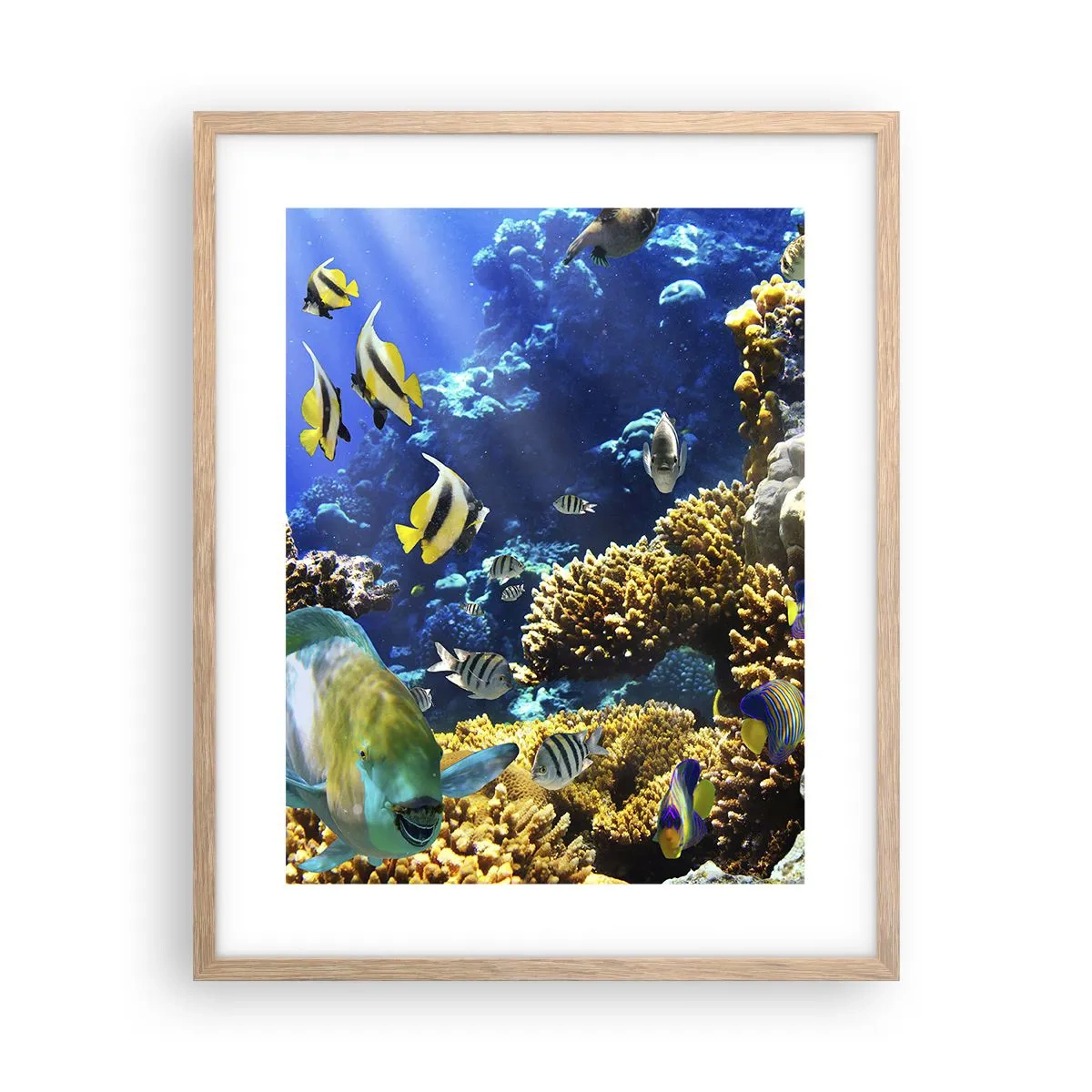 Póster en marco roble claro - Vacaciones submarinas - 40x50 cm