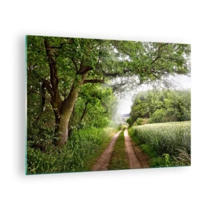 Cuadro sobre vidrio - Impresiones sobre Vidrio - Un camino forestal rodeado de vegetación bajo los rayos del sol. - 70x50cm - Ensueño - Decoración de pared moderna para salón y dormitorio ARTTOR