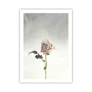 Póster - Una rosa sutil contra un cielo delicado. - 50x70cm - Bienvenida a la primavera - Decoración de pared moderna para salón y dormitorio ARTTOR
