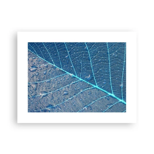 Póster - Vida en el azul - 40x30 cm