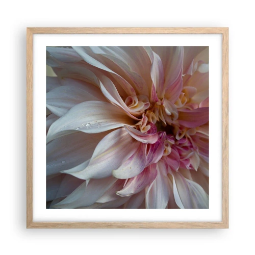Póster en marco roble claro - Frescura floreciente - 50x50 cm