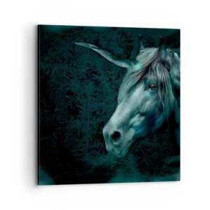 Cuadro sobre lienzo - Impresión de Imagen - En un bosque de cuento de hadas - 70x70 cm