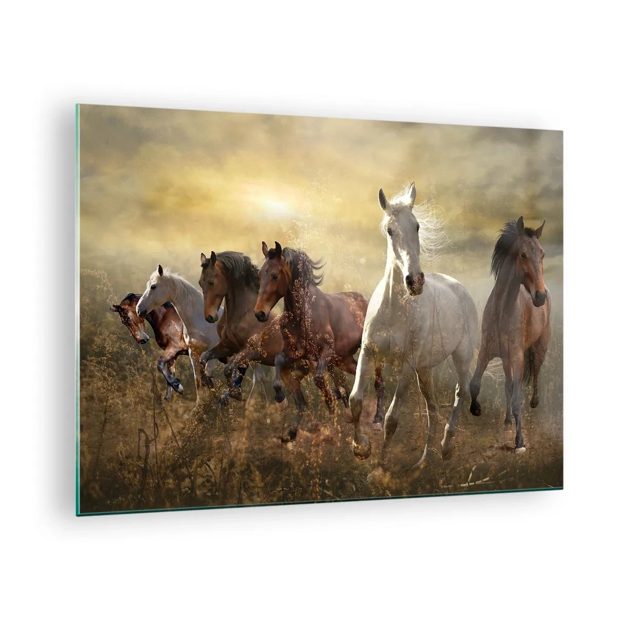 Cuadro sobre vidrio - Impresiones sobre Vidrio - Una manada de caballos galopando bajo los rayos del sol poniente. - 70x50cm - ¡Viva la libertad! - Decoración de pared moderna para salón y dormitorio ARTTOR