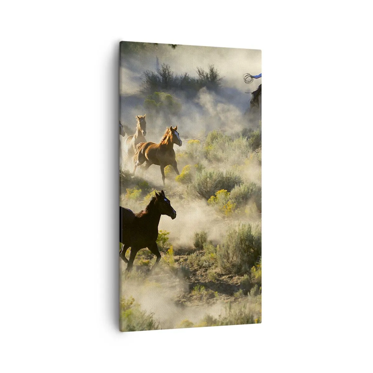 Cuadro sobre lienzo - Impresión de Imagen - Rivalidad: ¿libertad o fuerza? - 55x100 cm