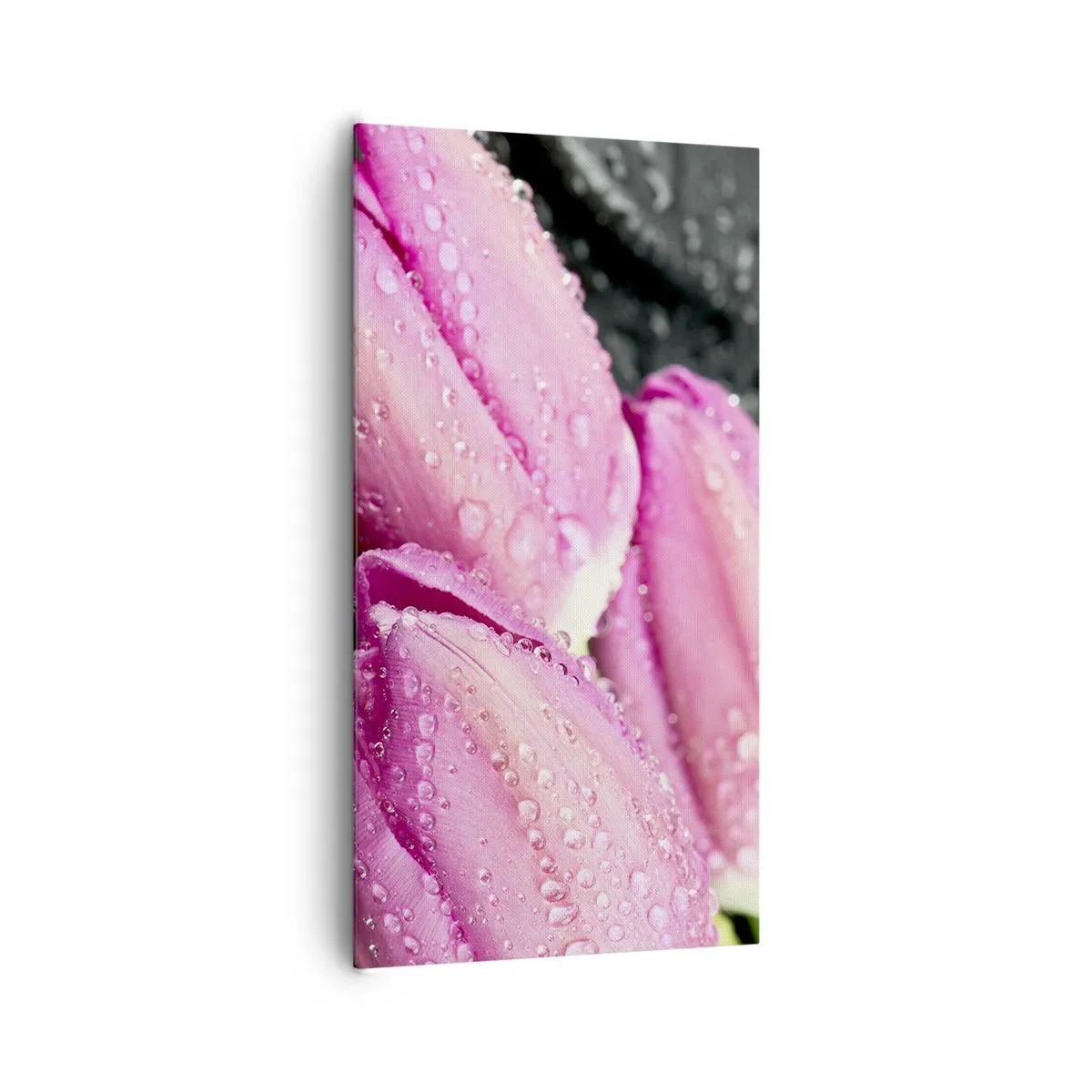 Cuadro sobre lienzo - Impresión de Imagen - Lilas sobre piedra negra - 65x120 cm