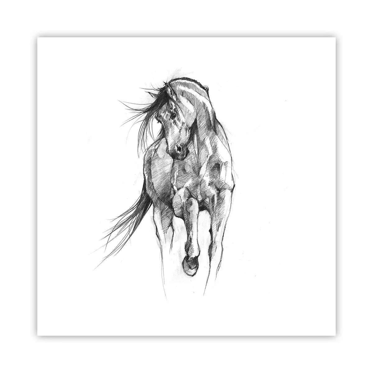 Póster - En un elegante trote - 50x50 cm