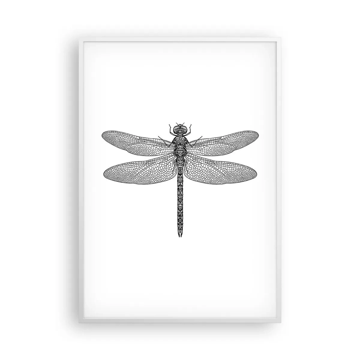 Póster en marco blanco - Precisión de la naturaleza - 70x100 cm