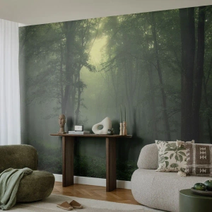 Fotomural Autadhesivo Deluxe Sticker - Antes de que se despierte el bosque - Paisaje, Bosque, Naturaleza - 300x210 cm