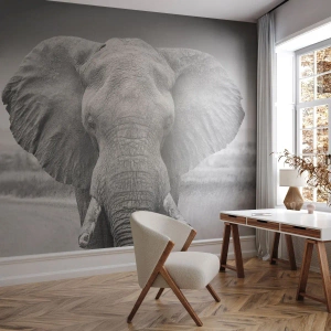 Fotomural personalizado Premium Sand - Bienvenido a mi mundo - Elefante, África, animales