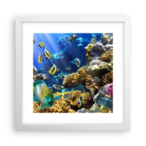 Póster en marco blanco - Vacaciones submarinas - 30x30 cm