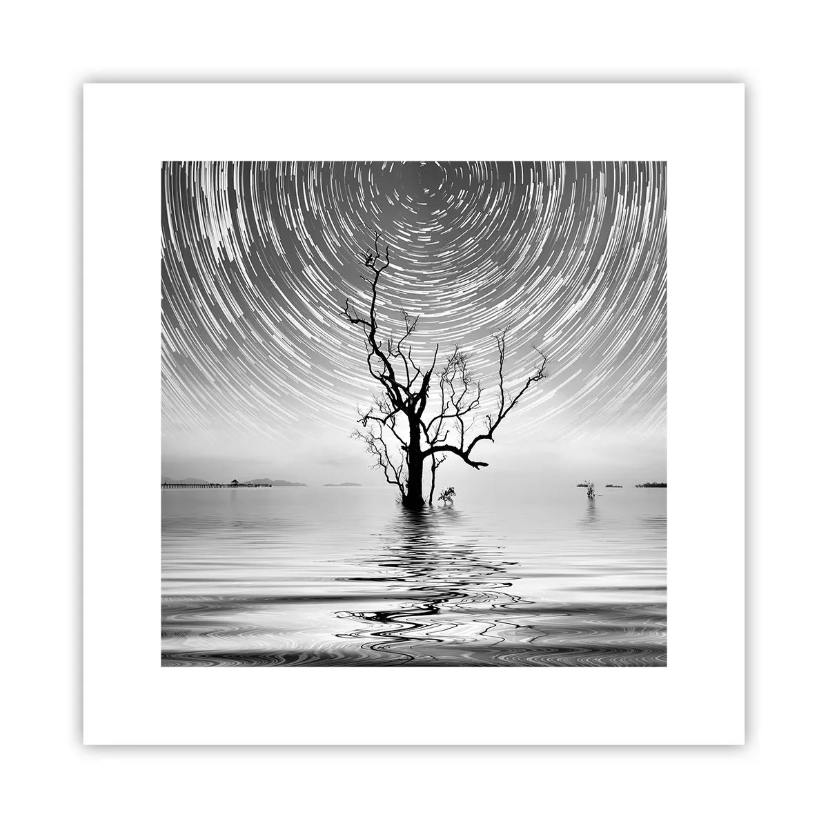 Póster - Una sinfonía de la naturaleza - 30x30 cm