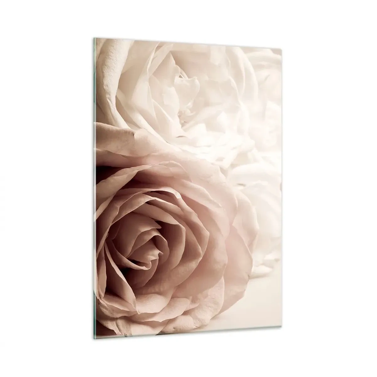 Cuadro sobre vidrio - Impresiones sobre Vidrio - Delicadas rosas claras en un primer plano romántico. - 50x70cm - En el corazón de una rosa - Decoración de pared moderna para salón y dormitorio ARTTOR