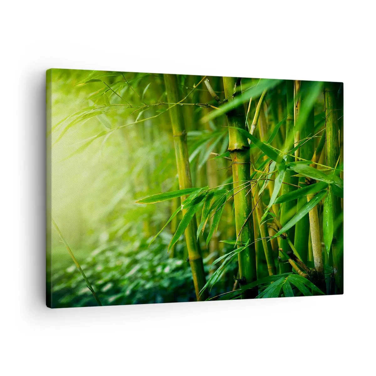 Cuadro sobre lienzo - Impresión de Imagen - Bosque de bambú verde bajo una luz suave - 70x50cm - Conocer el propio verdor - Decoración de pared moderna para salón y dormitorio ARTTOR