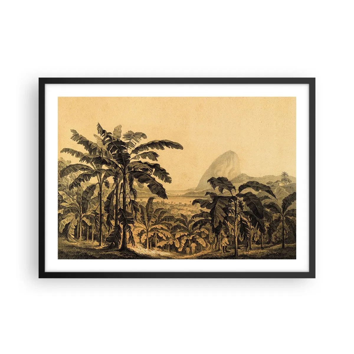 Póster en marco negro - Dibujo de árboles de plátano sobre un fondo de paisaje tropical. - 70x50cm - En un ambiente colonial - Decoración de pared moderna para salón y dormitorio ARTTOR