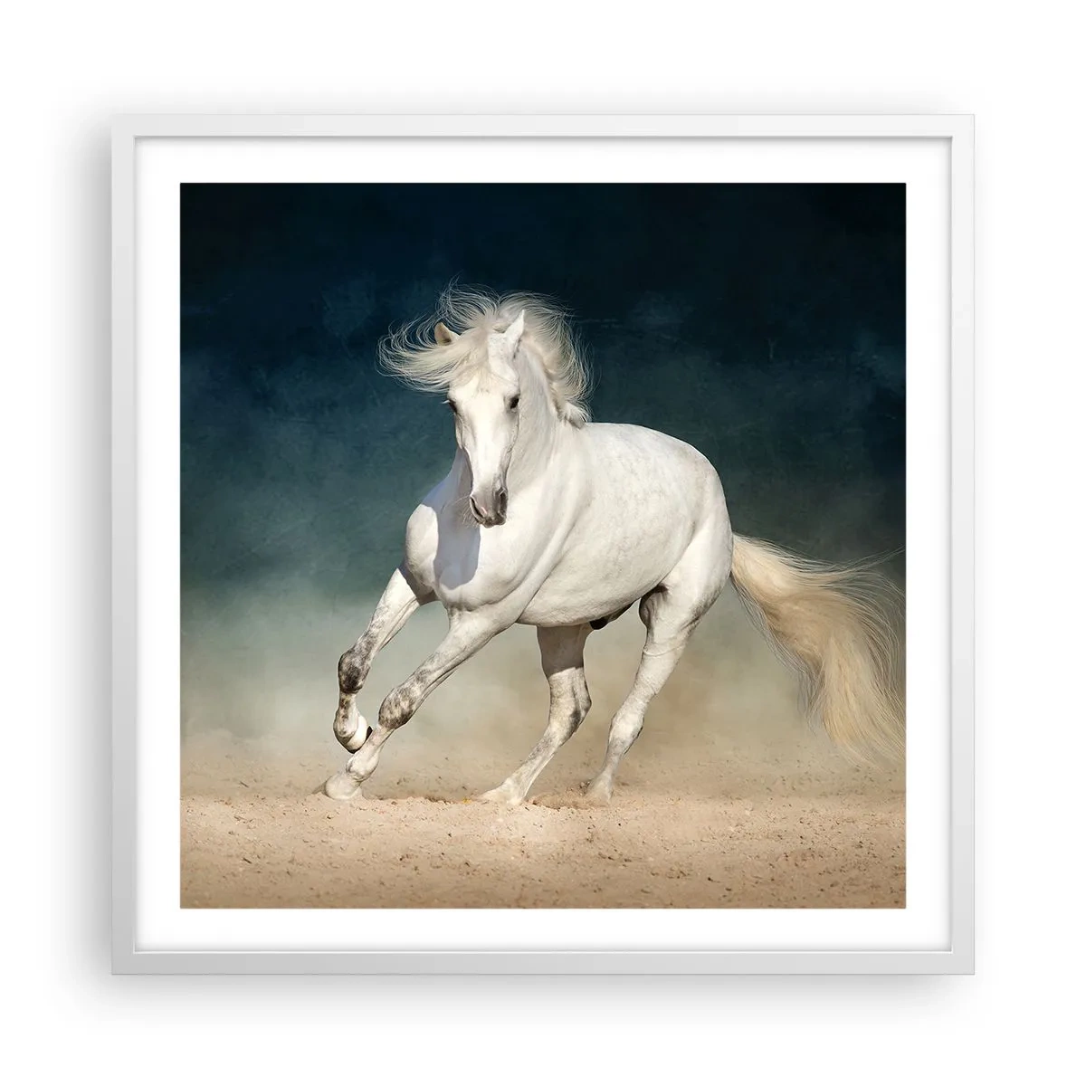 Póster en marco blanco - Libertad en estado puro - 60x60 cm