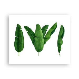 Póster - Simetría verde - 50x40 cm