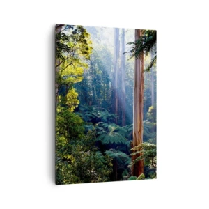 Cuadro sobre lienzo - Impresión de Imagen - Bosque tropical iluminado por los rayos del sol - 50x70cm - Un cuento de hadas del bosque - Decoración de pared moderna para salón y dormitorio ARTTOR