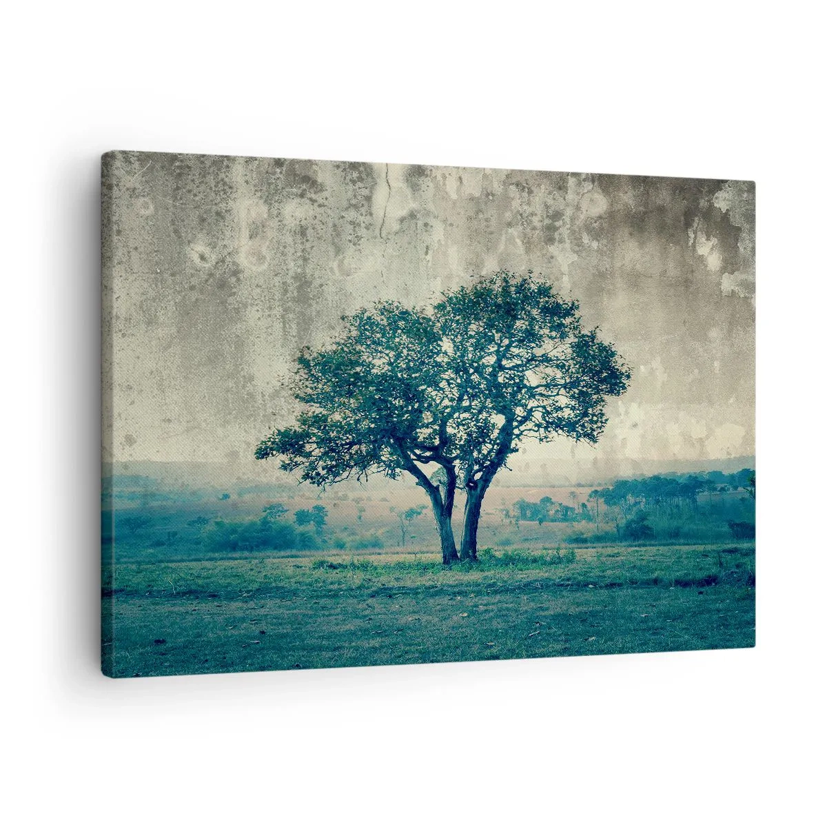 Cuadro sobre lienzo - Impresión de Imagen - Un árbol solitario contra un paisaje brumoso. - 70x50cm - El manzano - Decoración de pared moderna para salón y dormitorio ARTTOR