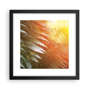 Póster en marco negro - Mañana en la selva - 30x30 cm