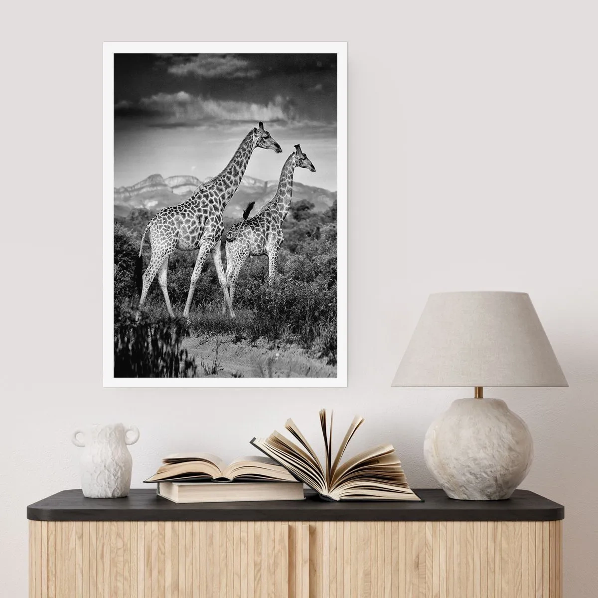 Póster - La clase alta de África - 30x40 cm