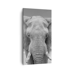 Cuadro sobre lienzo - Impresión de Imagen - Bienvenido a mi mundo - 45x80 cm