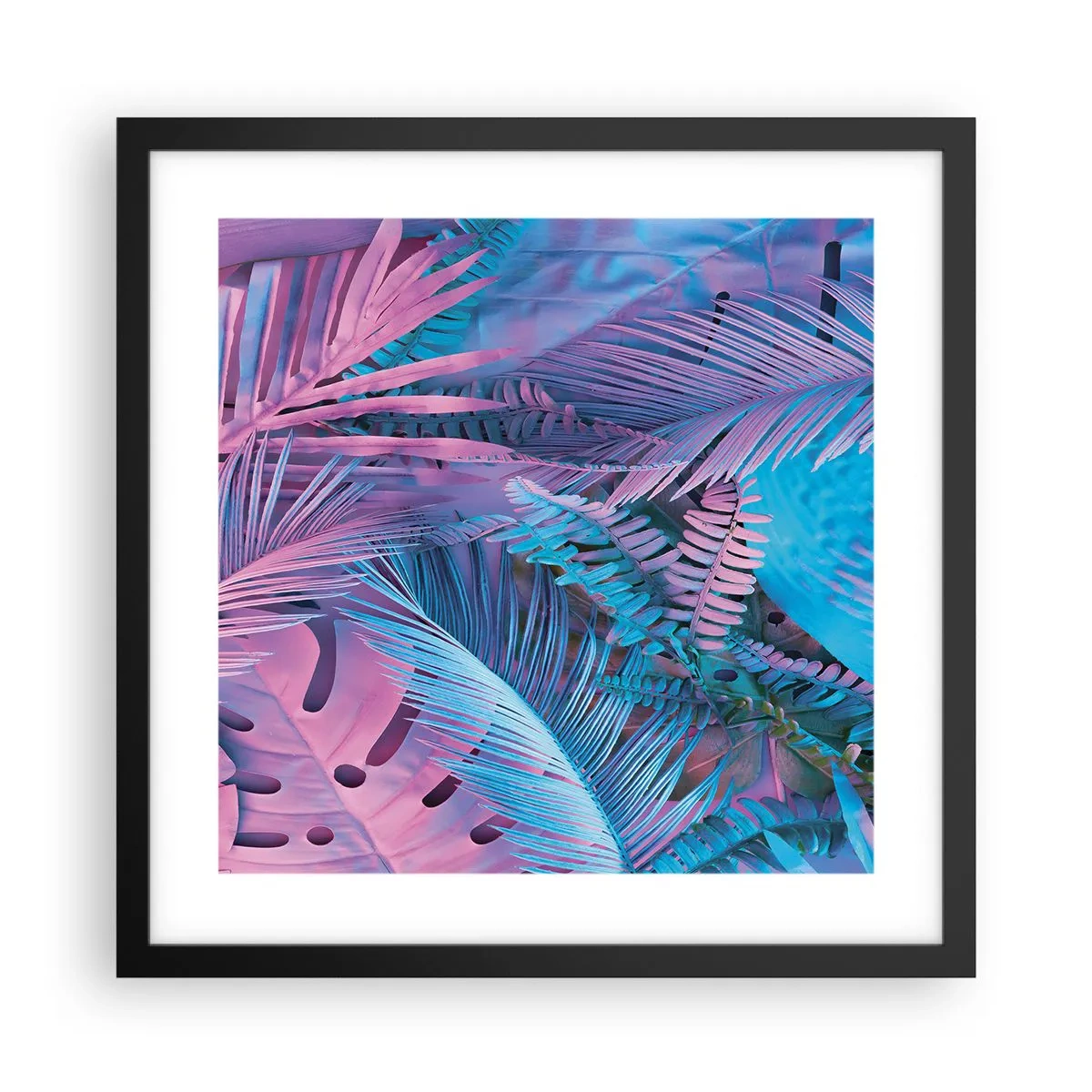 Póster en marco negro - Trópicos en rosa y azul - 40x40 cm
