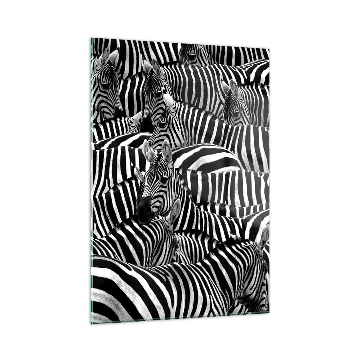 Cuadro sobre vidrio - Impresiones sobre Vidrio - Una manada de cebras en monocromo - 50x70cm - Retrato a rayas - Decoración de pared moderna para salón y dormitorio ARTTOR