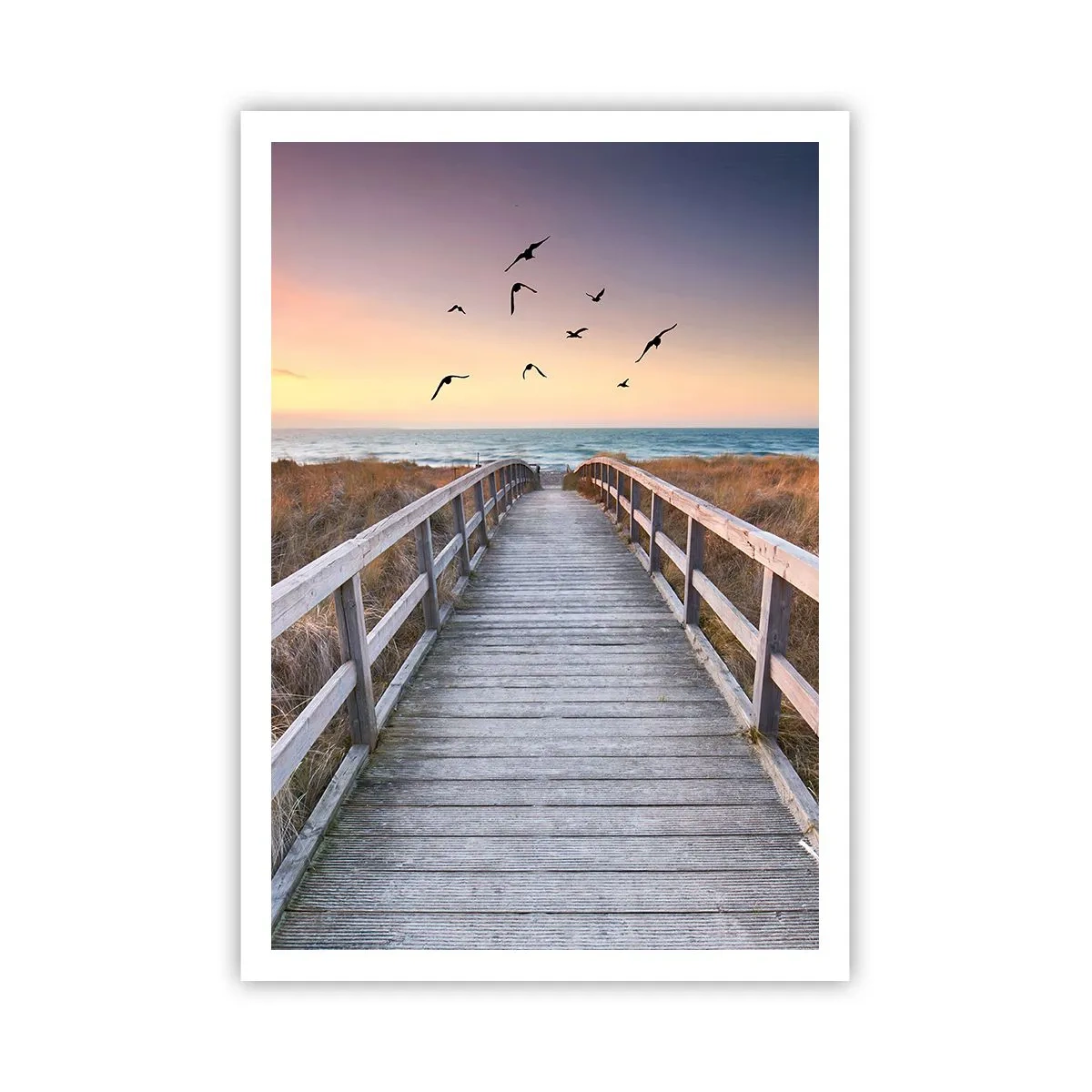 Póster - Camino a lo desconocido - 70x100 cm