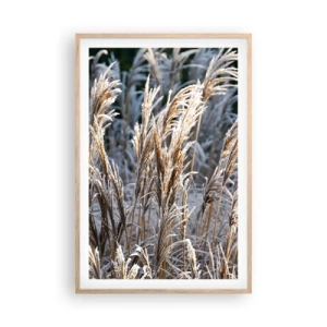 Póster en marco roble claro - Campos y campos - 61x91 cm