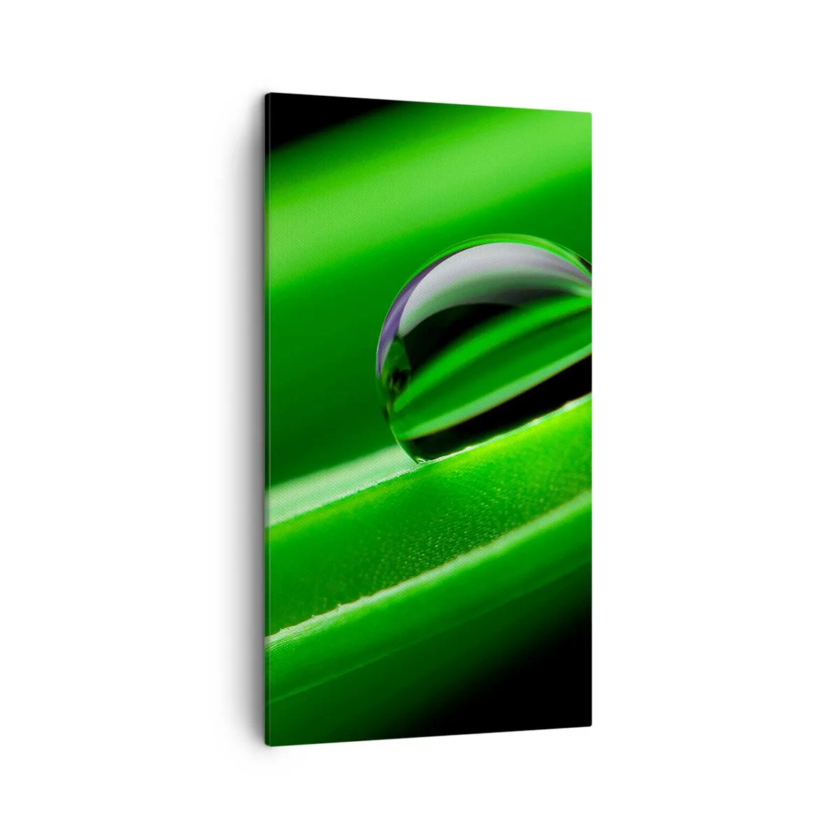 Cuadro sobre lienzo - Impresión de Imagen - La vida de cerca - 45x80 cm