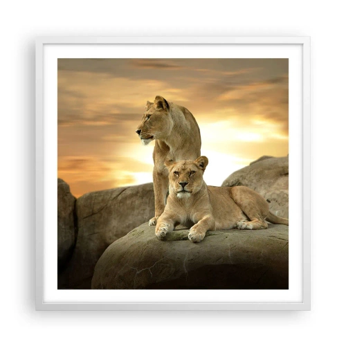 Póster en marco blanco - Majestuosidad real - 60x60 cm