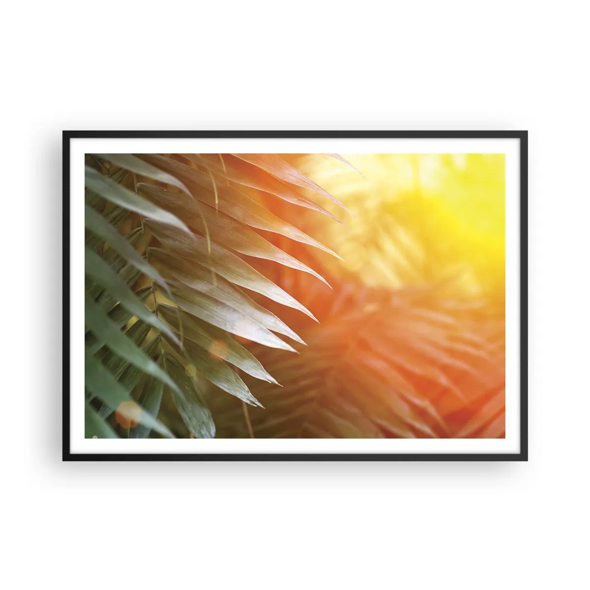 Póster en marco negro - Hojas de palma en los rayos del atardecer. - 100x70cm - Mañana en la selva - Decoración de pared moderna para salón y dormitorio ARTTOR