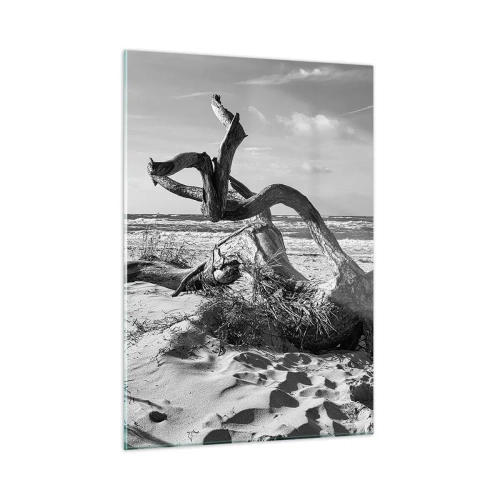 Cuadro sobre vidrio - Impresiones sobre Vidrio - Un paisaje en blanco y negro con una rama caída en una playa. - 50x70cm - Escultura marina - Decoración de pared moderna para salón y dormitorio ARTTOR