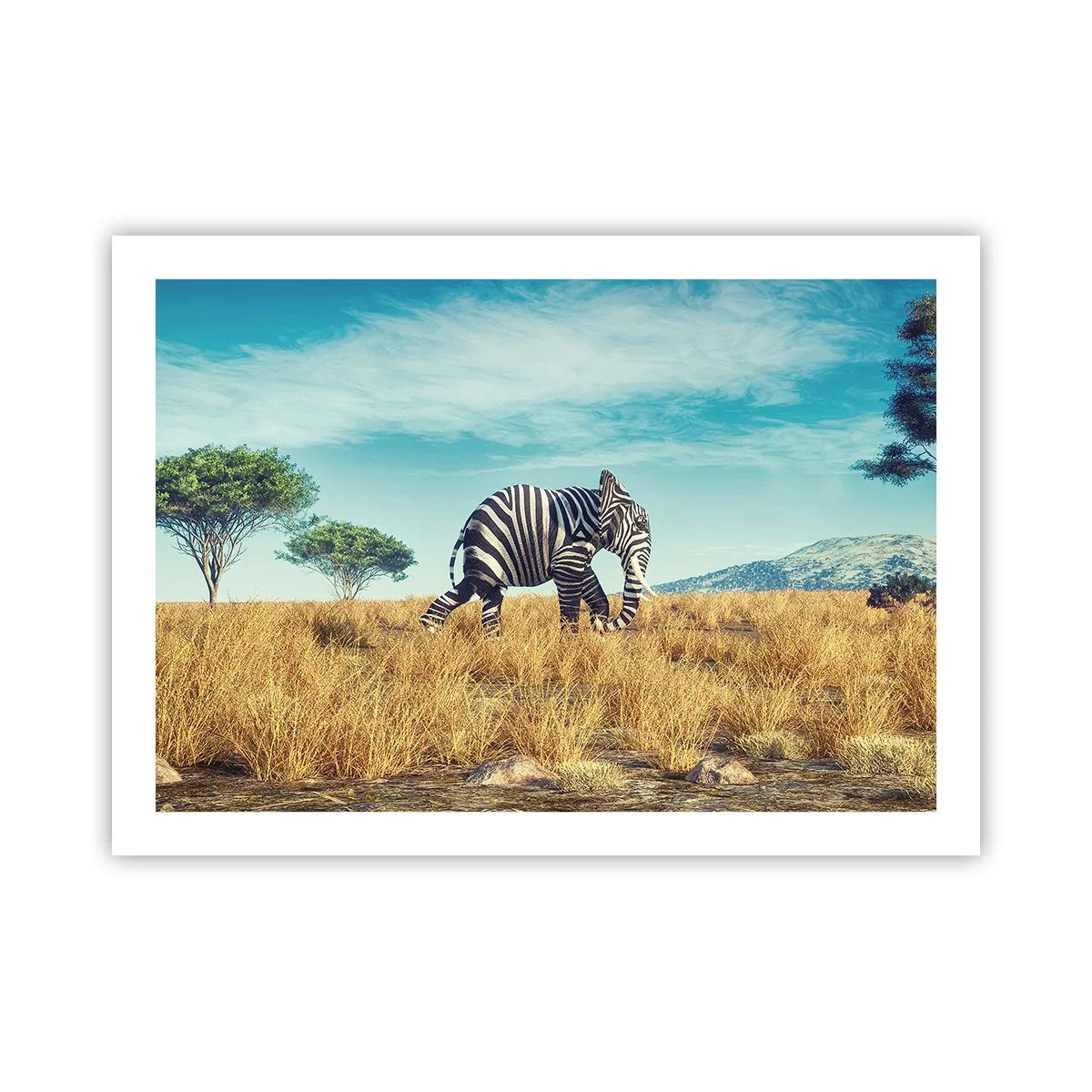 Póster - El gris ya no está de moda - 70x50 cm