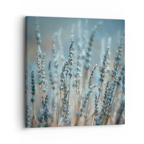 Cuadro sobre lienzo - Impresión de Imagen - Fragante pasto - 30x30 cm