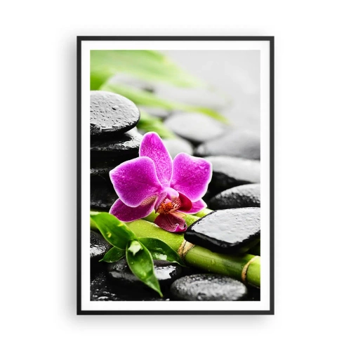 Póster en marco negro - En equilibrio pacífico - 70x100 cm