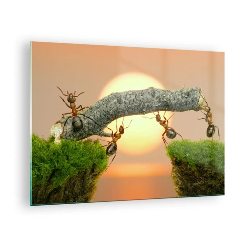 Cuadro sobre vidrio - Impresiones sobre Vidrio - Hormigas construyendo un puente al atardecer - 70x50cm - Trabajar juntos con alegría - Decoración de pared moderna para salón y dormitorio ARTTOR