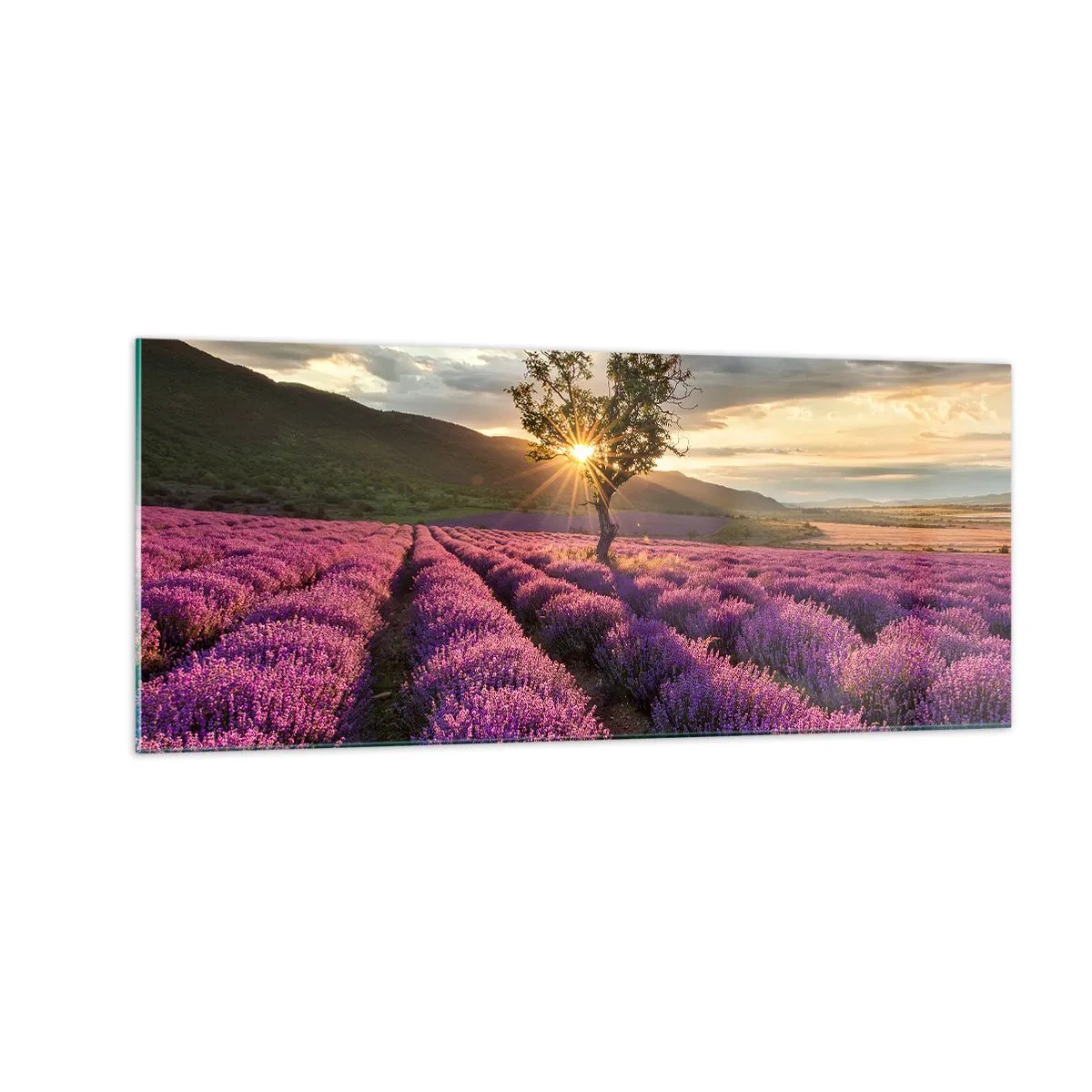 Cuadro sobre vidrio - Impresiones sobre Vidrio - Aroma en lila - 100x40 cm