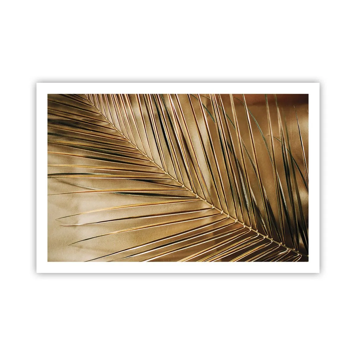 Póster - Una columnata natural - 91x61 cm