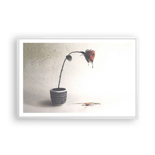 Póster en marco blanco - Rosa dolorosa - 91x61 cm