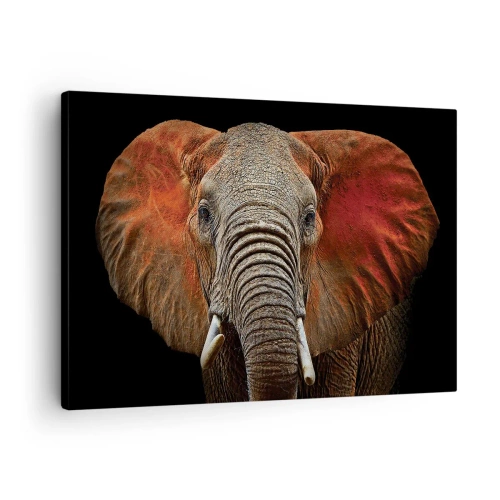Cuadro sobre lienzo - Impresión de Imagen - Retrato de un elefante sobre fondo negro - 70x50cm - Soy salvaje, ¿y tú? - Decoración de pared moderna para salón y dormitorio ARTTOR