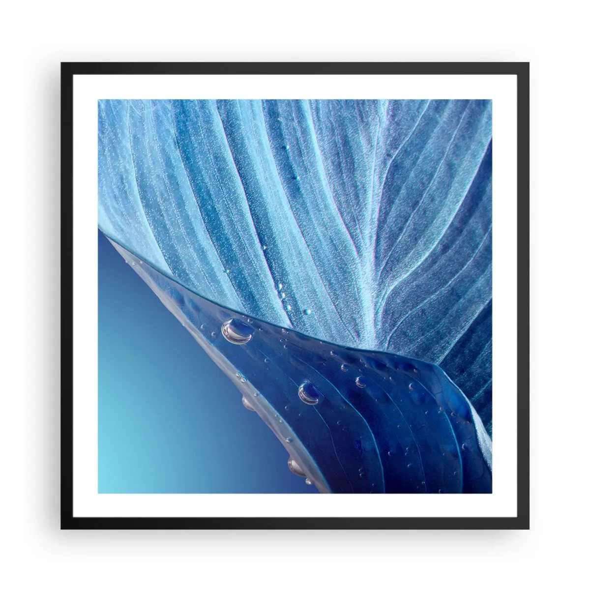 Póster en marco negro - Gotas ocultas de azul - 60x60 cm