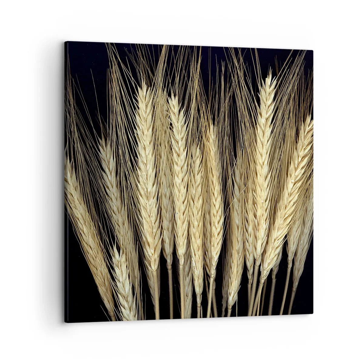 Cuadro sobre lienzo - Impresión de Imagen - Magia rústica - 50x50 cm