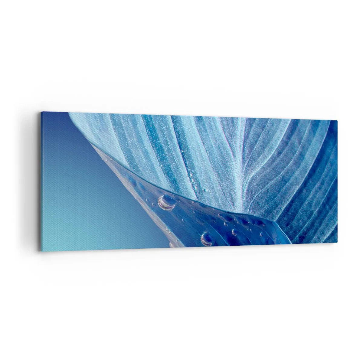 Cuadro sobre lienzo - Impresión de Imagen - Una hoja azul con gotas de agua visibles. - 120x50cm - Gotas ocultas de azul - Decoración de pared moderna para salón y dormitorio ARTTOR